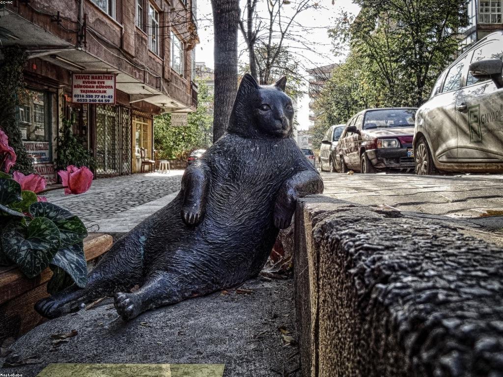 αααααααα»αααααΈ: ααΆαααααααΆααα·αααΆααααα αΆαααΈααΆαααααα·αα