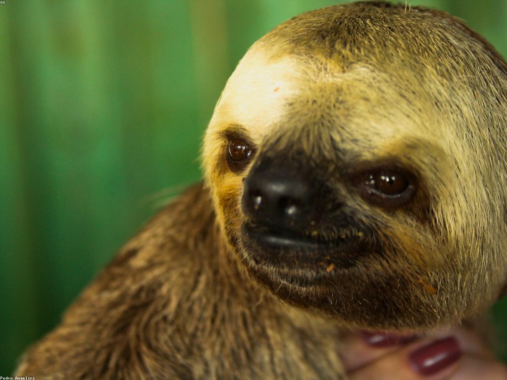 សារៈសំខាន់នៃសំគាល់ស្លតក្នុងជីវិតប្រចាំថ្ងៃ