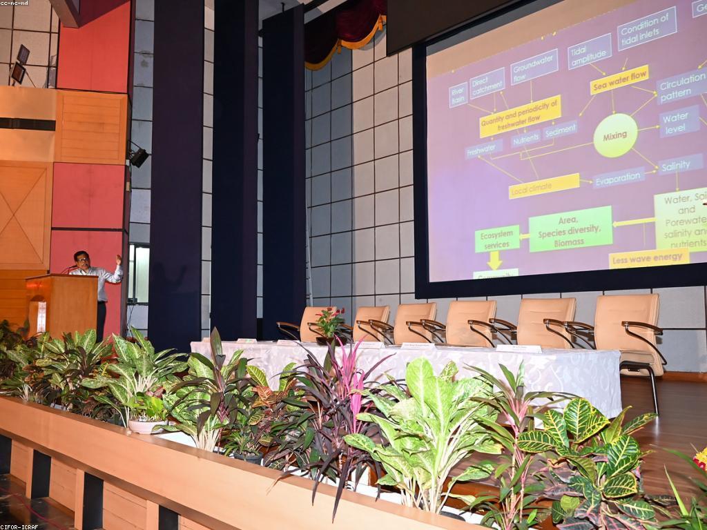 ការយល់ដឹងអំពីសំគាល់ស្លត